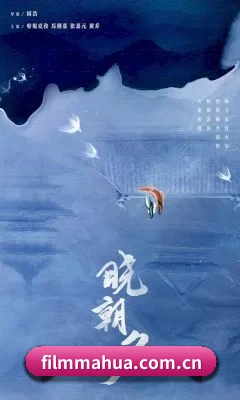 麻花影视 应用程序