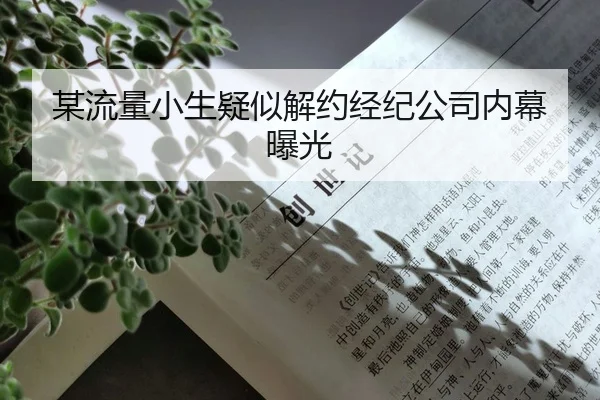 某流量小生疑似解约经纪公司内幕曝光